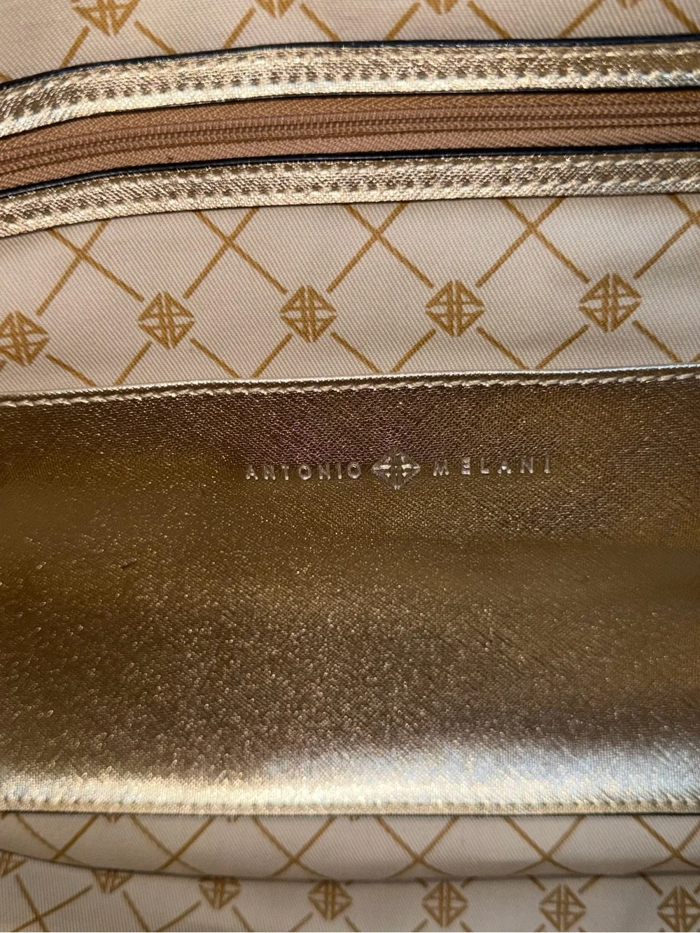 ANTONIO MELANI Metallic Champagne Snake-Texture Leather Tote